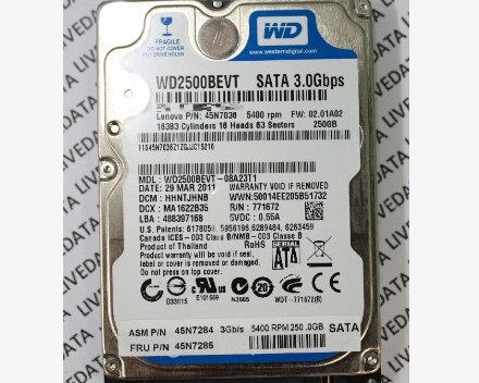 WD2500BEVT-08A23T1