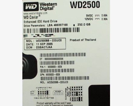 WD2500BB-22GUC0_01