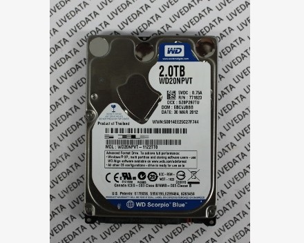 WD20NPVT-11Z2TT0