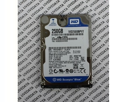 WD2500BPVT-26JJ5T0