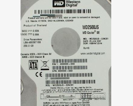 WD2500JS-22NCB1_01